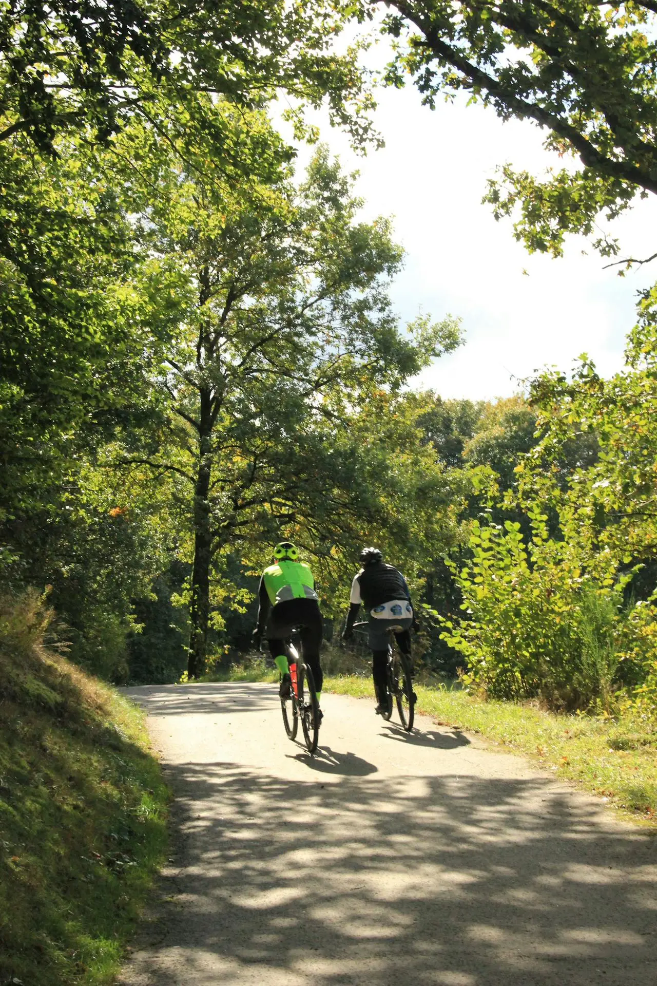 Trasy rowerowe